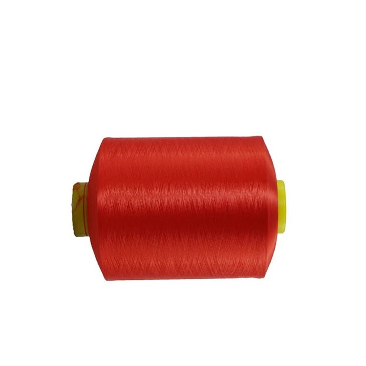 Warm Polyester Dty Knitting Yarn